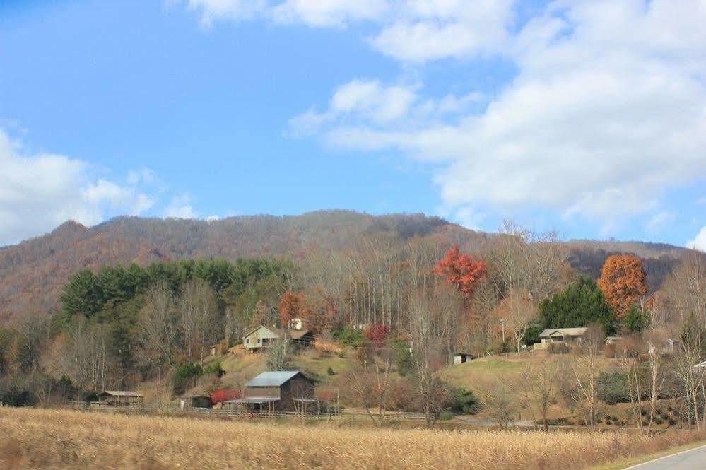 وينزفيل، كارولاينا الشمالية The Yellow House On Plott Creek المظهر الخارجي الصورة