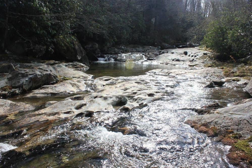 وينزفيل، كارولاينا الشمالية The Yellow House On Plott Creek المظهر الخارجي الصورة